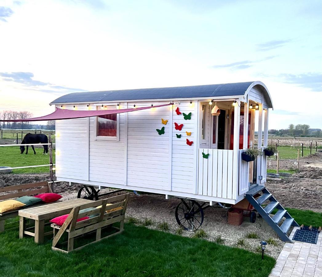 Ontwaken Tussen De Paarden Bed and Breakfast Zoutleeuw Buitenkant foto